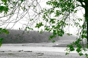 Namdapha National Park Noa-Dihing river