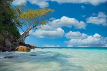 Neil Andaman