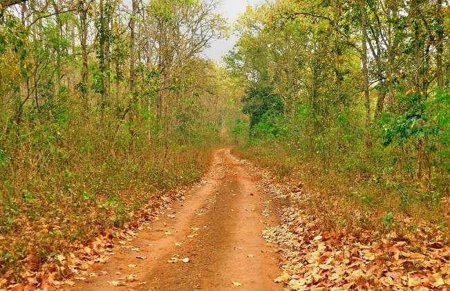 ঝিলিমিলি-রানিবাঁধ রোড