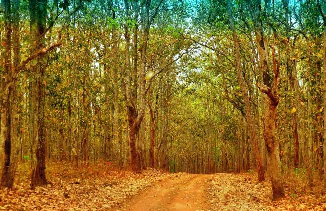 ঝিলিমিলির