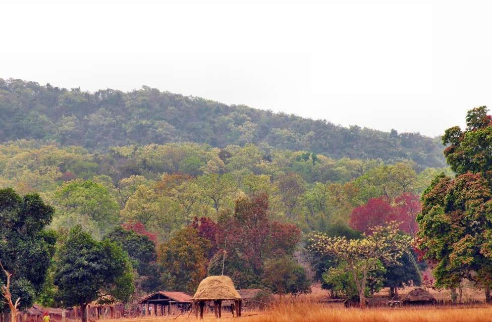 ঝিলিমিলি