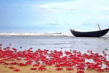 মন্দারমনি