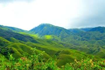 Green Dzukou Valley