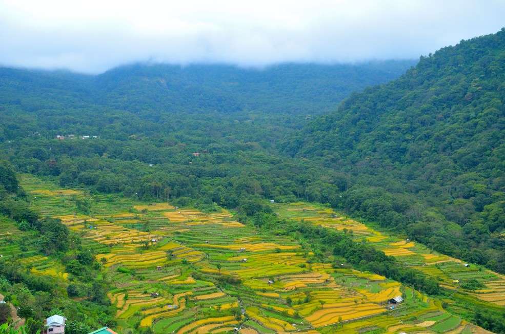 Nagaland